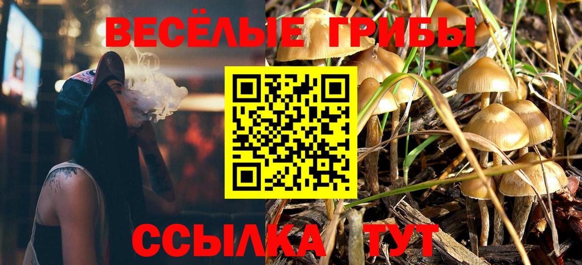 Галлюциногенные грибы мицелий Камышин