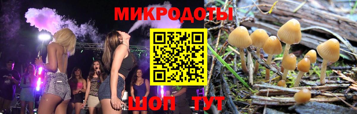 Камышин  купить наркотик  Вход с VPN  Галлюциногенные грибы ЛСД 